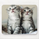Suche nach kätzchen mousepads Babytiere