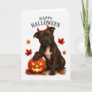 Suche nach bull terrier karten Staffie