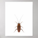 Suche nach schädlinge poster Bug