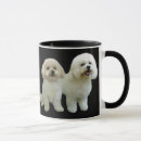 Suche nach bichon frise welpe tassen Welpen