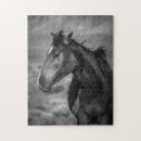 Suche nach weißes pferd puzzle Für kinder