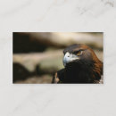 Suche nach goldener adler visitenkarten Raubvogel