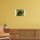 Suche nach tortoise poster Tier