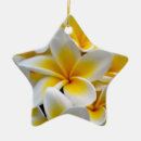 Suche nach frangipani ornamente Plumeria