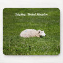 Suche nach niedliche schafe mousepads Für alle