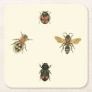 Suche nach studio untersetzer Insekten