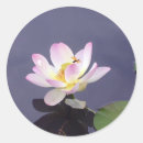 Suche nach rosa drache aufkleber Blume
