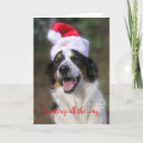 Suche nach weihnachtstiere postkarten Jede person