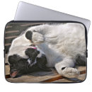 Suche nach niedliche katzen laptop schutzhüllen Schwarzweißkatze