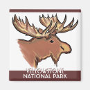 Suche nach in yellowstone magnete Elche