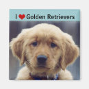 Suche nach goldene retriever magnete Welpe