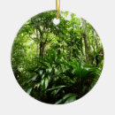 Suche nach tropischer regenwald ornamente Natur