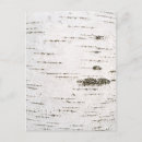 Suche nach birkenrinde postkarten Wald