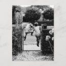 Suche nach noir postkarten Vintag