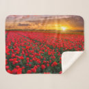Suche nach holland decken Blume