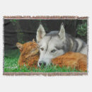 Suche nach sibirischer husky decken Liebe