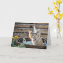 Suche nach ginger karten Katze