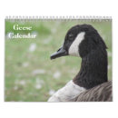 Suche nach gänse kalender Natur