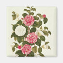 Suche nach englisch magnete Farbe