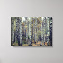 Suche nach herbstwald leinwandbilder Birke