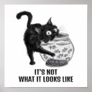 Suche nach katzen fisch poster Lustig