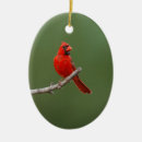 Suche nach cardinal ornamente Red