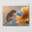 Suche nach vergissmeinnicht postkarten Blume