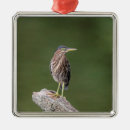 Suche nach reiher ornamente Vogel