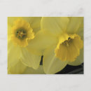 Suche nach cacher postkarten Blume