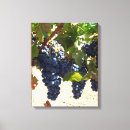 Suche nach weintraube leinwandbilder Lila