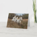 Suche nach camargue karten Bauernhof