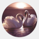 Suche nach herz der schwäne aufkleber Vögel