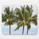Suche nach tropische bäume mousepads Hawaii