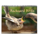 Suche nach specht kalender Kolibri
