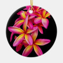 Suche nach plumeria ornamente Foto