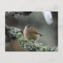 Suche nach goldschmied postkarten Natur