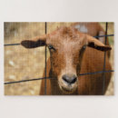 Suche nach lustige ziege puzzle Bauernhof