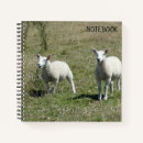 Suche nach insel kleine notizbücher Niedlich