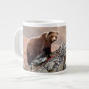 Suche nach braunbär tassen Porträt