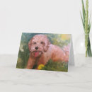 Suche nach labradoodles karten Goldendoodle
