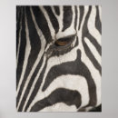 Suche nach tierkopf poster Natur