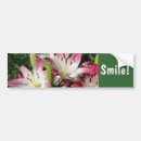 Suche nach lilie autoaufkleber Natur