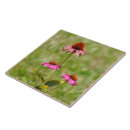 Suche nach pfeifen fliesen Blume