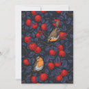 Suche nach rotes rotkehlchen Vogel
