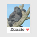 Suche nach gorillas aufkleber Tierwelt