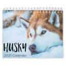 Suche nach husky kalender Welpen