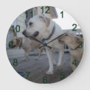 Suche nach labrador wanduhren Welpe