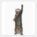 Suche nach bein aufkleber Niedlich