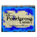 Suche nach colt kalender Fohlen