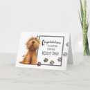 Suche nach shaggy karten Hund